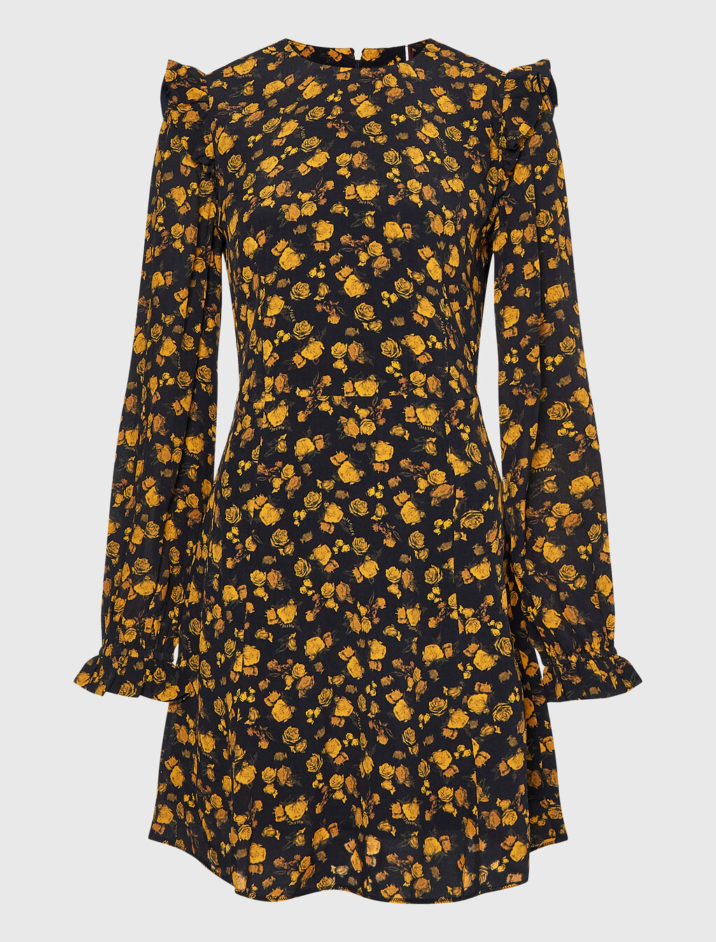 Ruffled Fit And Flare Dress, Frosted Floral Ditsy, hi-res