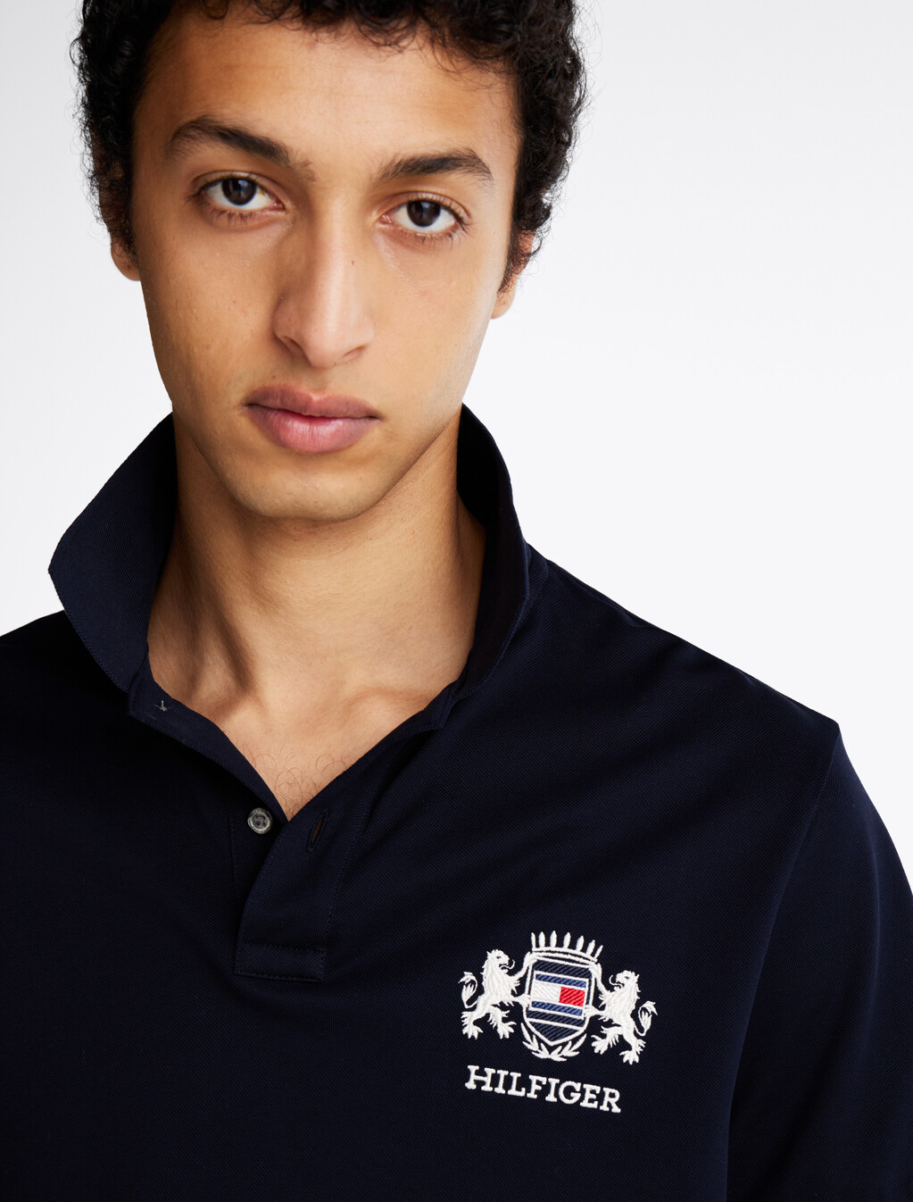 Regular Fit Logo Embroidery Polo Shirt, Desert Sky, hi-res