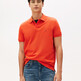 Brilliant Orange