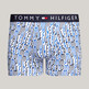 Hilfiger Warp Print