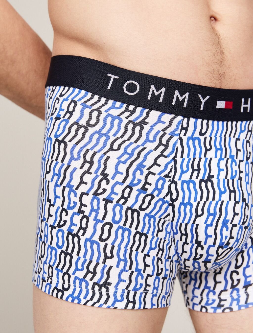 Print Trunks, Hilfiger Warp Print, hi-res