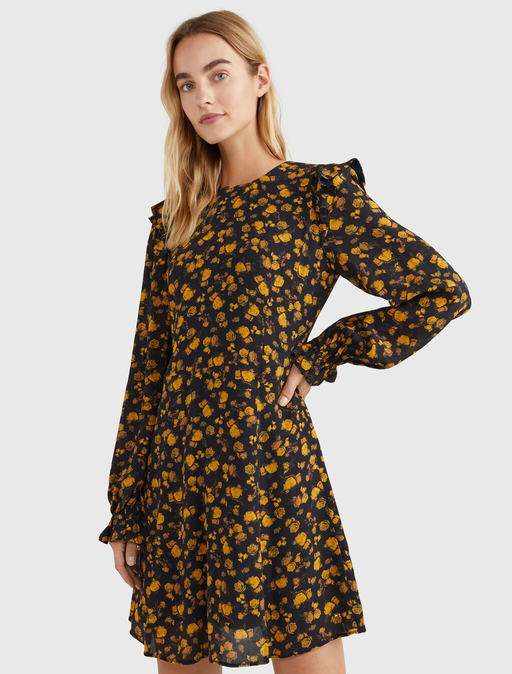 Ruffled Fit And Flare Dress, Frosted Floral Ditsy, hi-res