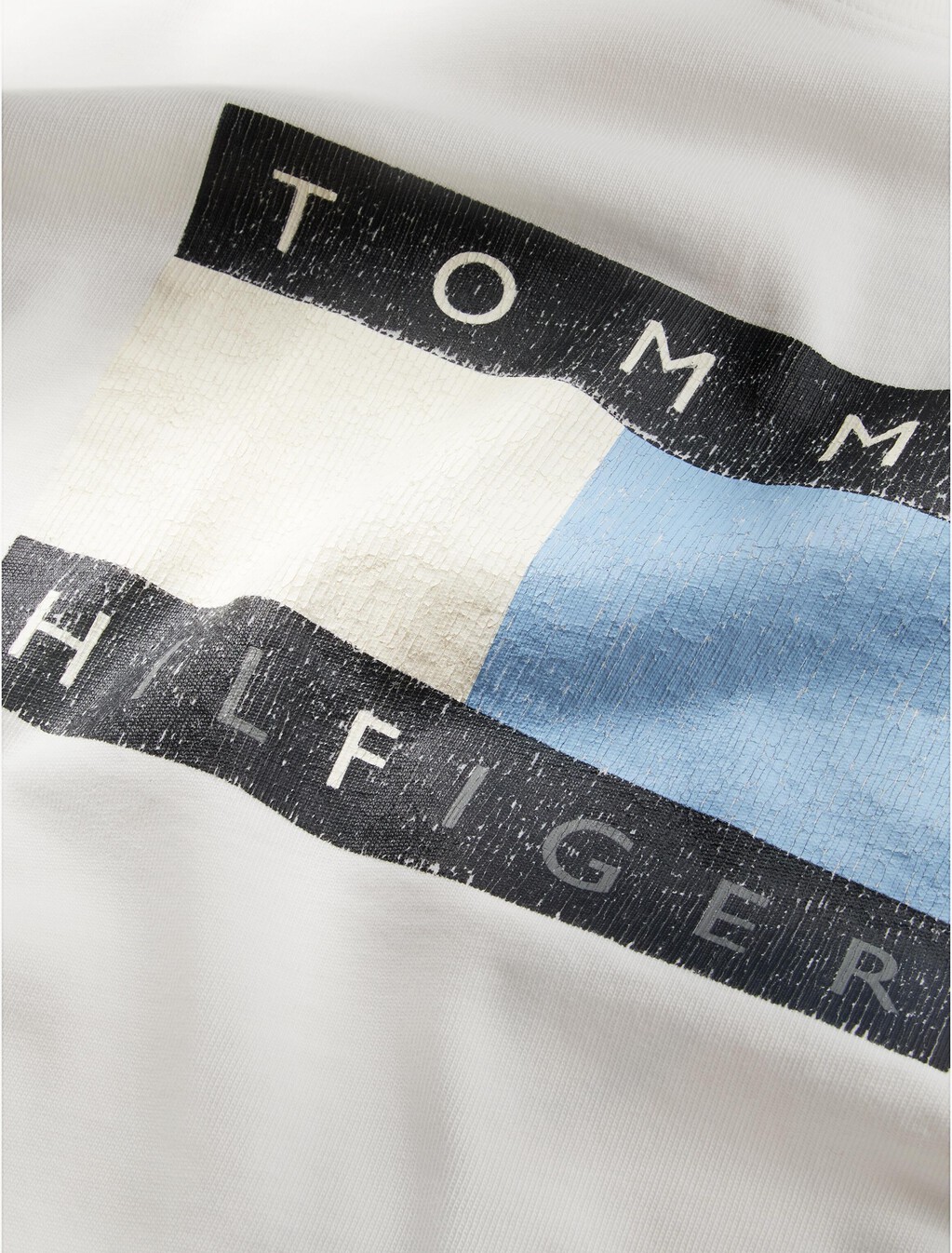 Washed Flag Relaxed Jersey T-Shirt, Ecru, hi-res