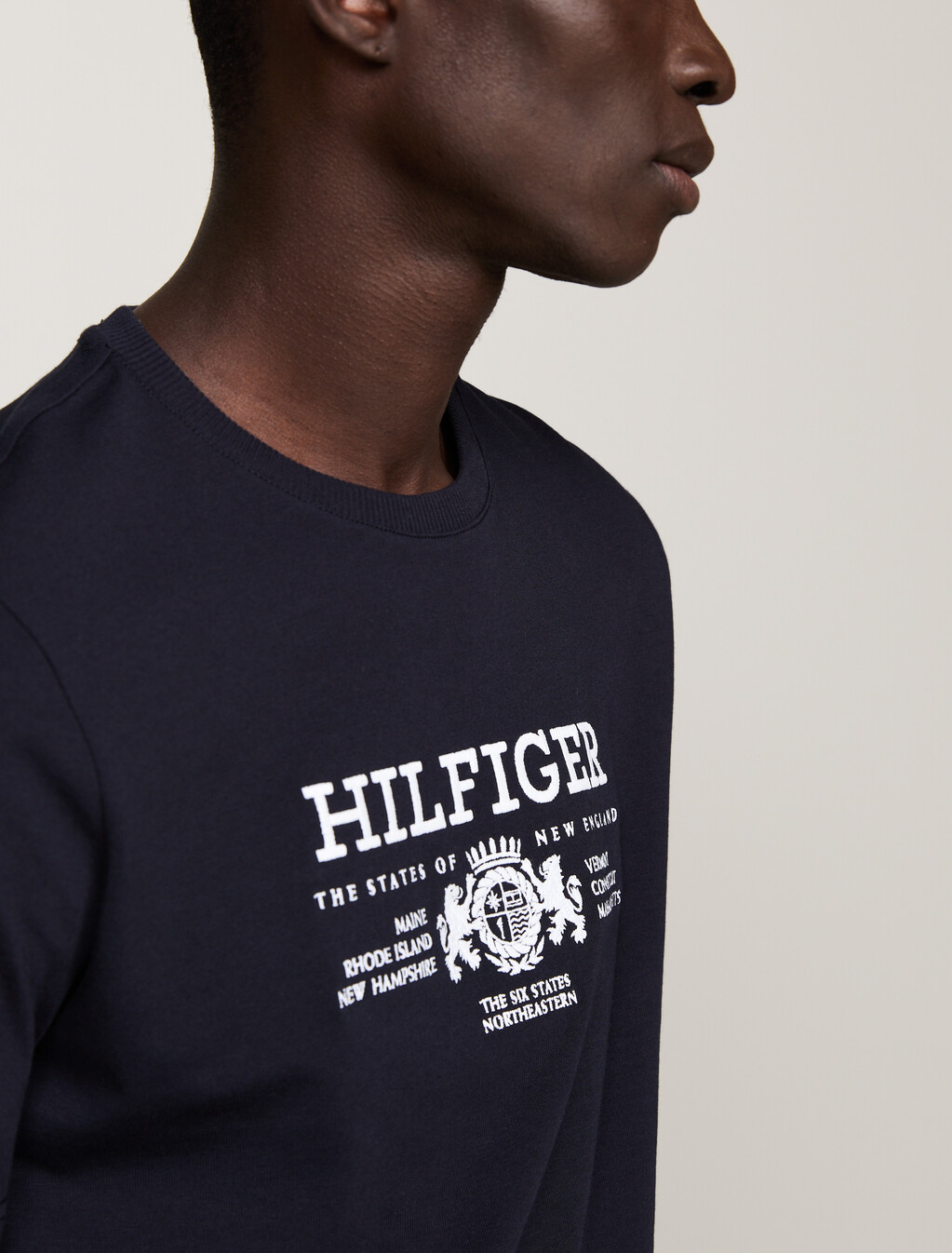 Crest Logo Embroidery T-Shirt, Desert Sky, hi-res
