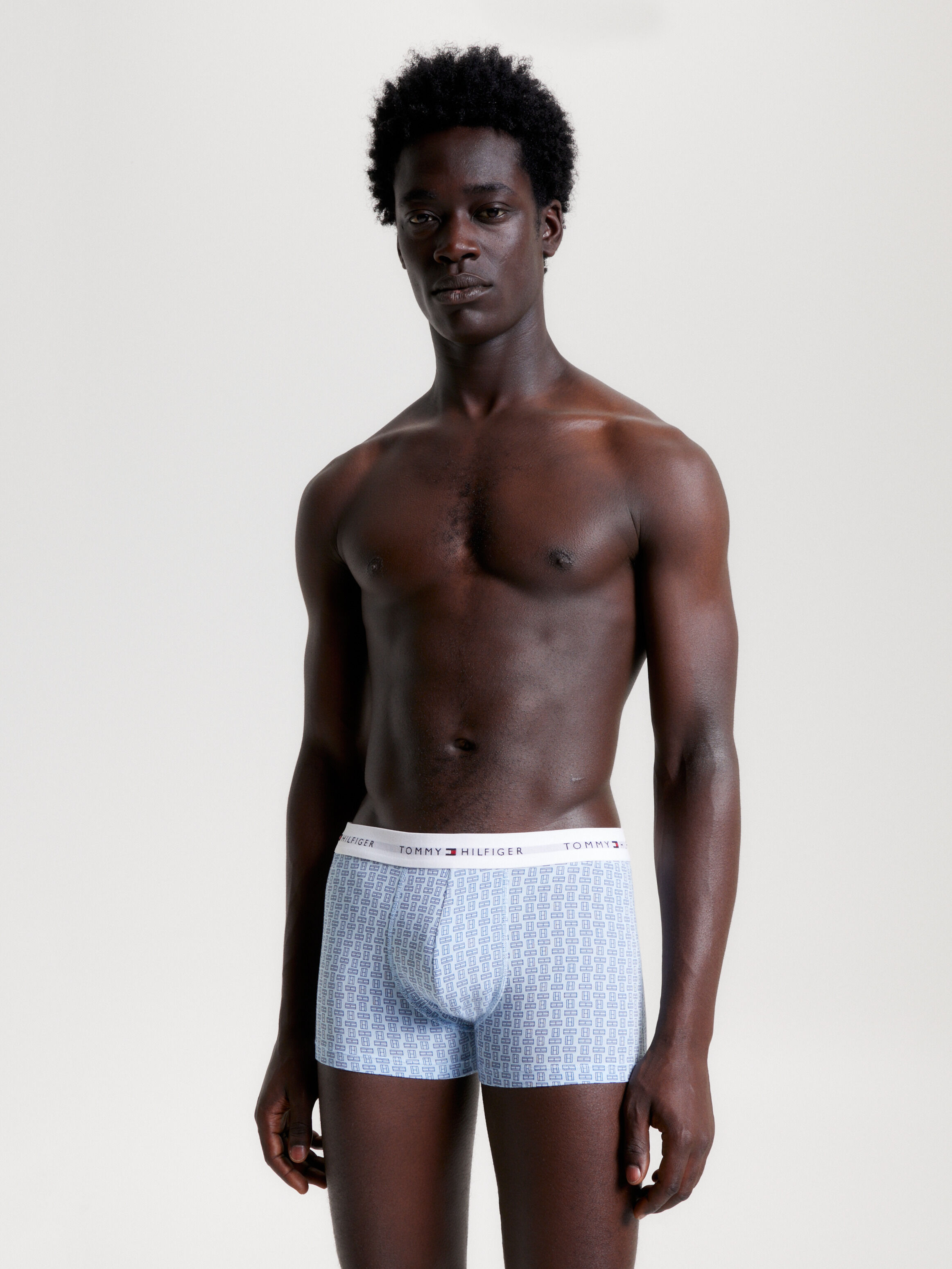 Tommy best sale hilfiger trunk