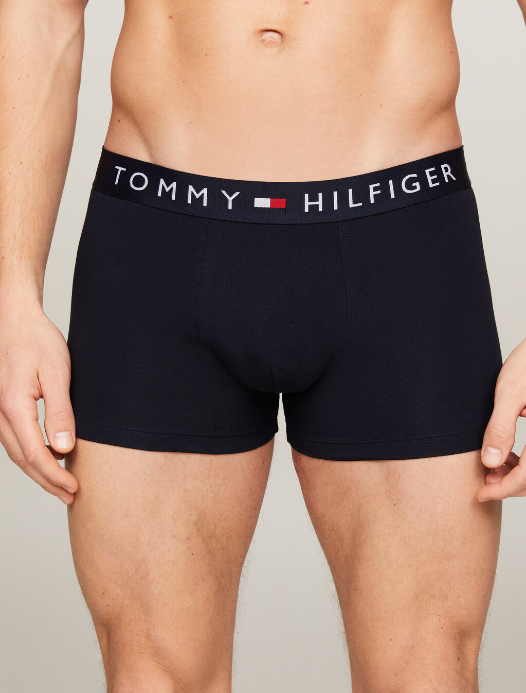 Logo Waistband Trunks, Desert Sky, hi-res