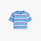 Light Powdery Blue / Stripe