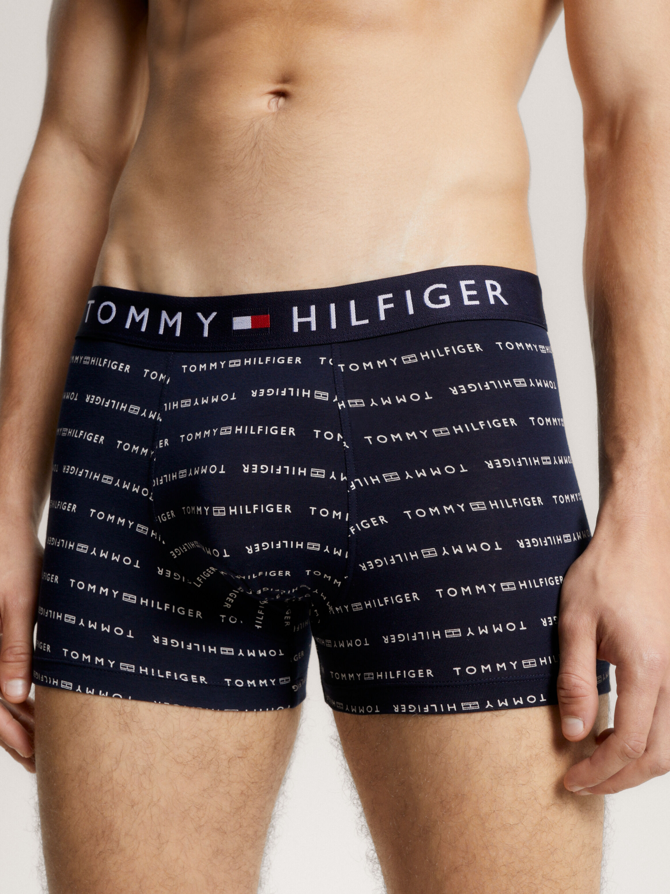 Tommy hilfiger best sale underwear men
