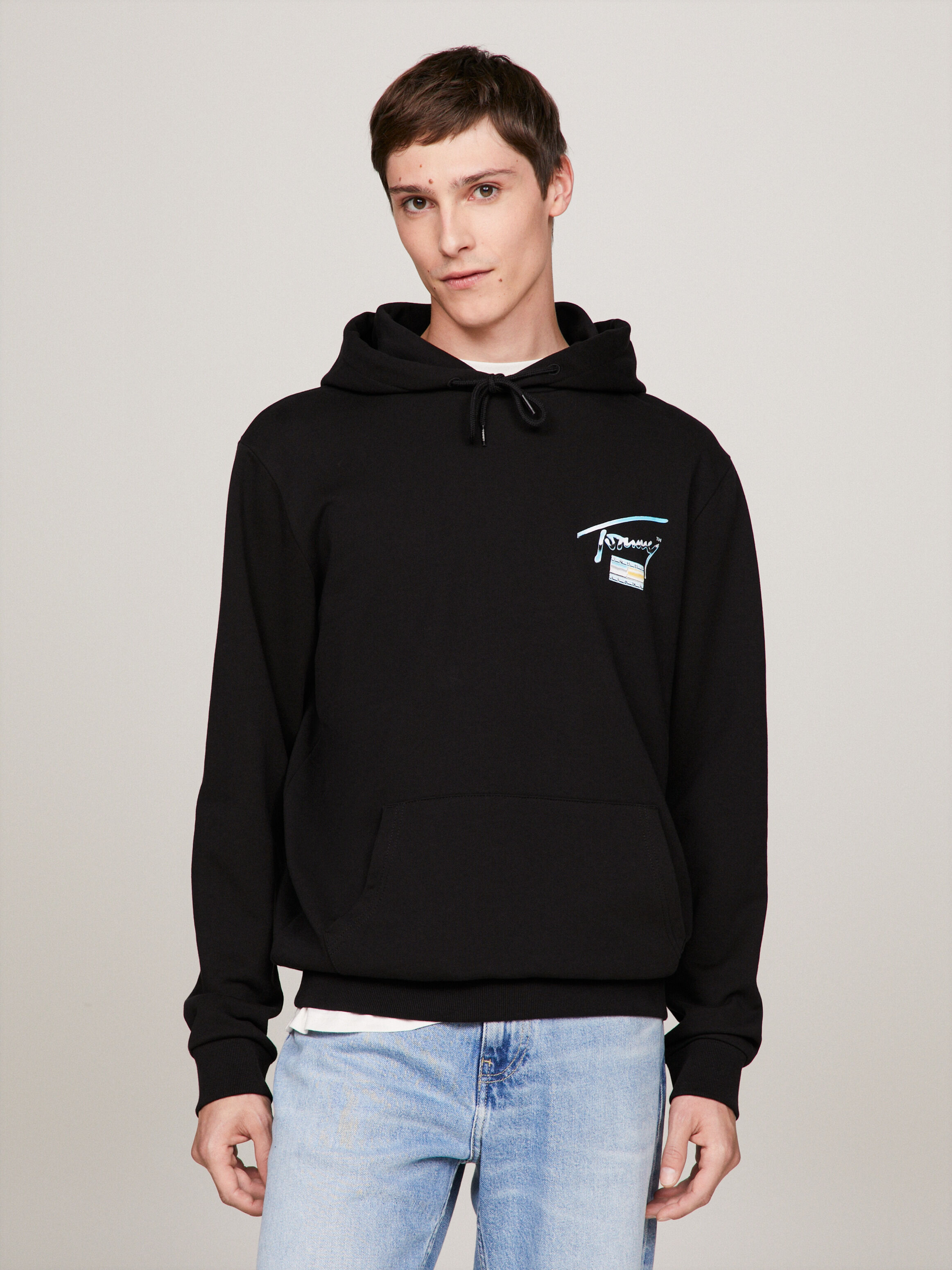 Tommy hilfiger sale hoodie malaysia