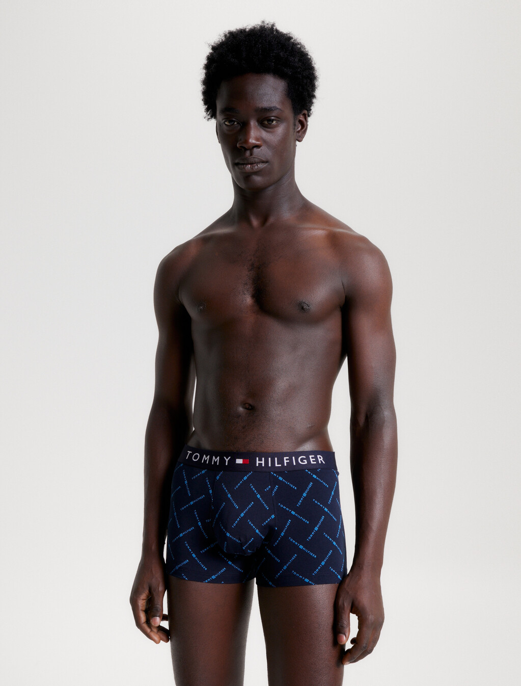 Print Trunks, Hilfiger Logo Aop, hi-res