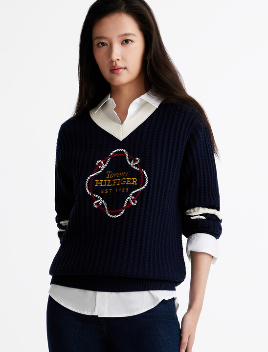 Graphic V Neck Sweater
