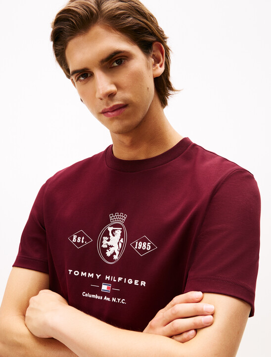 Varsity Graphic Interlock Knit T-Shirt